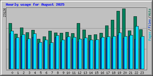 Hourly usage for August 2025