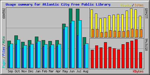 Usage summary for Atlantic City Free Public Library