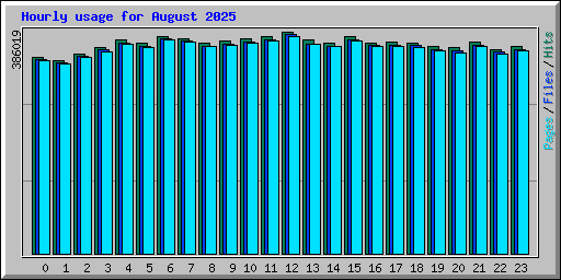 Hourly usage for August 2025